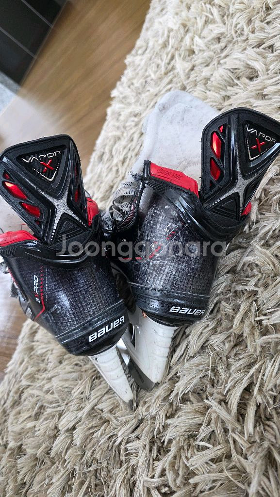 아이스하키 스케이트--2