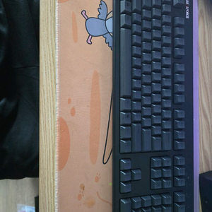 리얼포스 r3 스테빌 윤활 풀배열