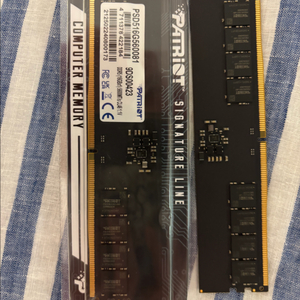 Parriot ddr5 16gb 메모리