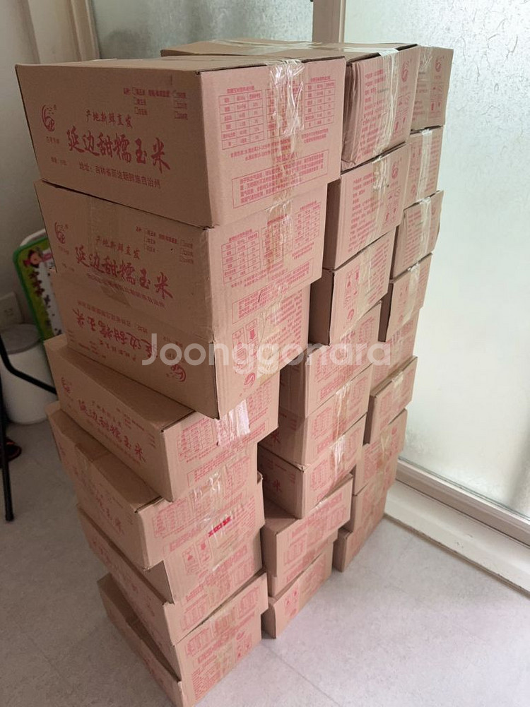 왕청 찰옥수수무방부제 은지 진공포장--3