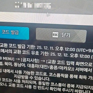 니케 홍련 스킨코드 팝니다