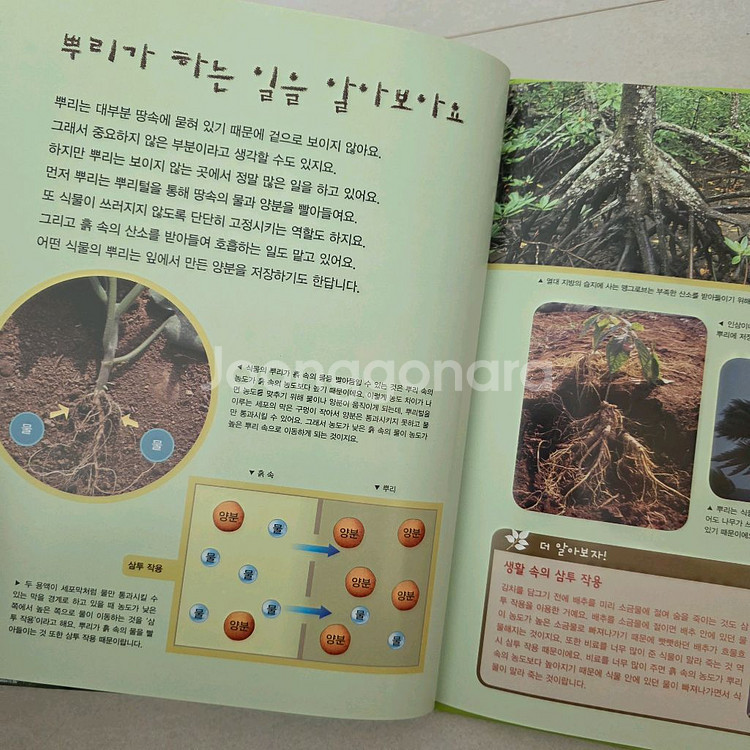 교원 교과서가보이는자연의신비 65+학습활동서+가이드북--3