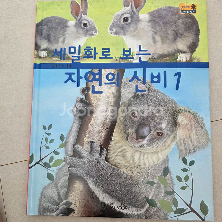 교원 교과서가보이는자연의신비 65+학습활동서+가이드북--6