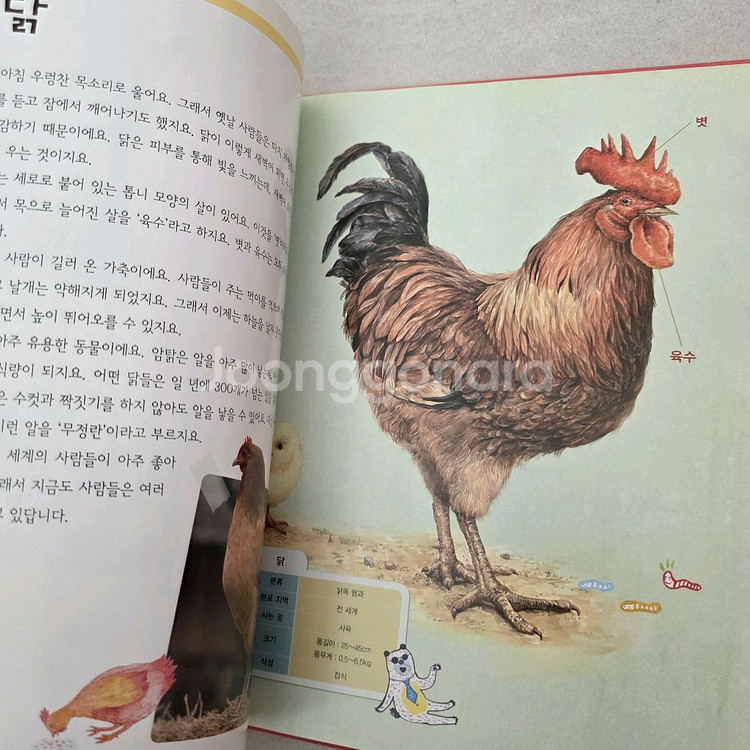 교원 교과서가보이는자연의신비 65+학습활동서+가이드북--7