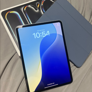 아이패드 프로 11 M4 256GB