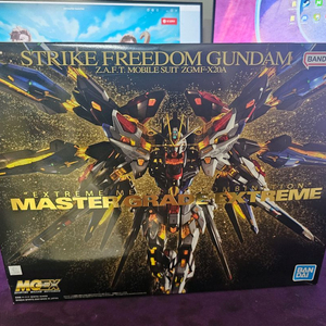 rg한정판 팔아요