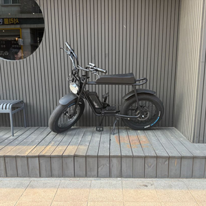 모페즈 750w