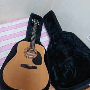 통기타 하드케이스