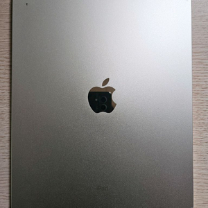 아이패드 10세대 셀룰러 256GB