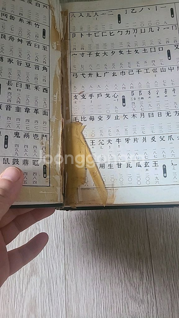 국민대옥편<한정판>--1