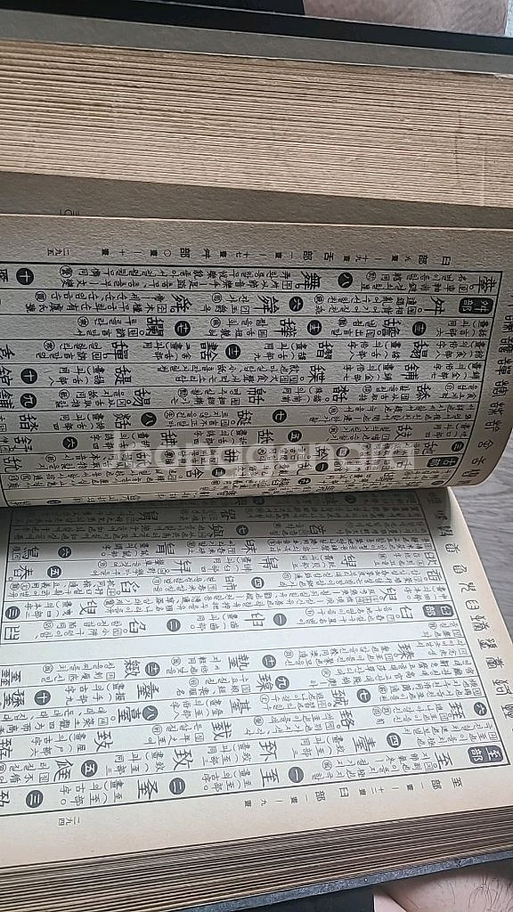 국민대옥편<한정판>--2