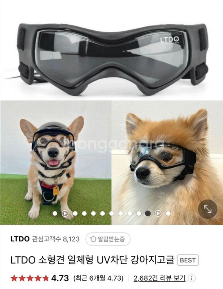 강아지 uv차단안경 uv고글 블랙, 투명 소형사이즈--0