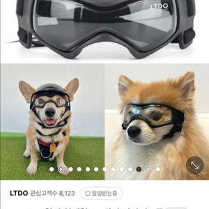 강아지 uv차단안경 uv고글 블랙, 투명 소형사이즈