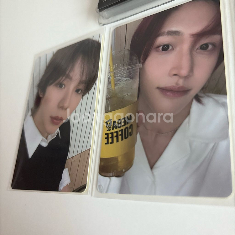 라이즈 메가스미니 세트 (스미니+원빈,성찬,쇼타로 포카--4