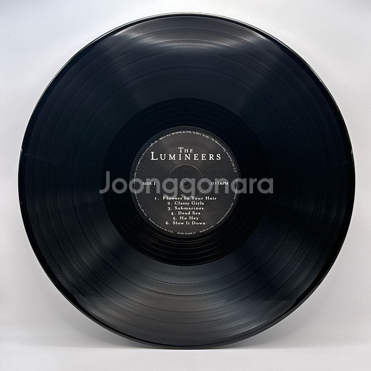 더 루미니어스 The Lumineers LP--1