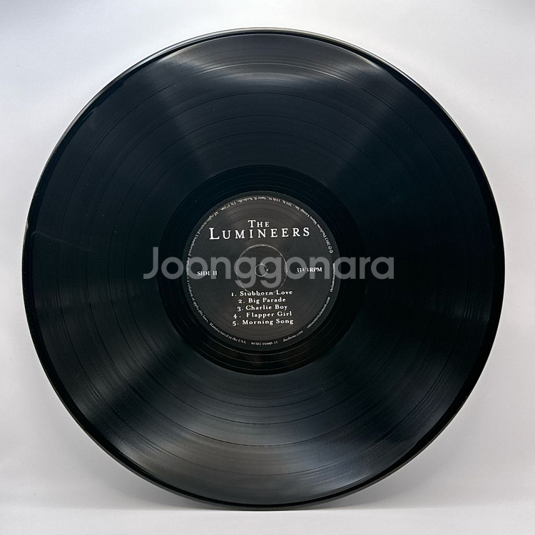 더 루미니어스 The Lumineers LP--2