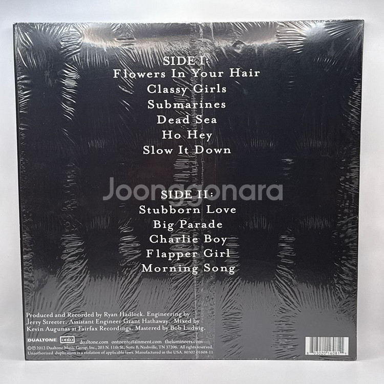 더 루미니어스 The Lumineers LP--3