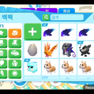입양하세요 펫 급처