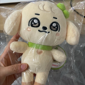 강안지 안유진 미니브 아이브 플러시