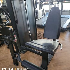 레그 익스텐션