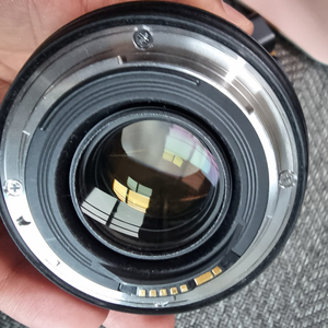캐논 EF 24-70 F2.8 ii 신계륵