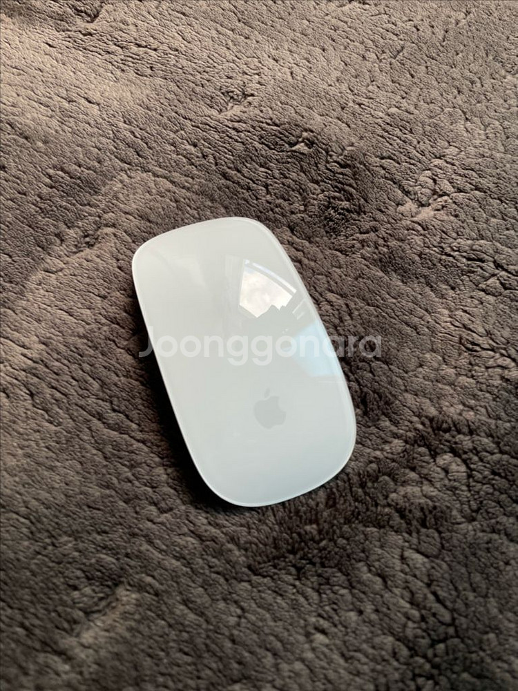 Apple Magic Mouse 애플 매직 마우스--0