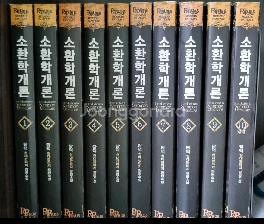 소환학개론 10권--0