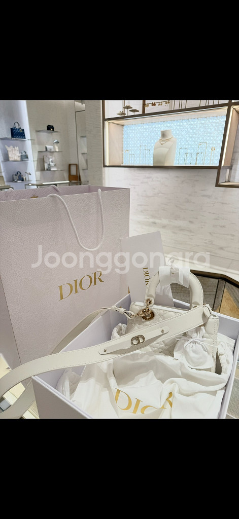 정품 디올 레이디백--0