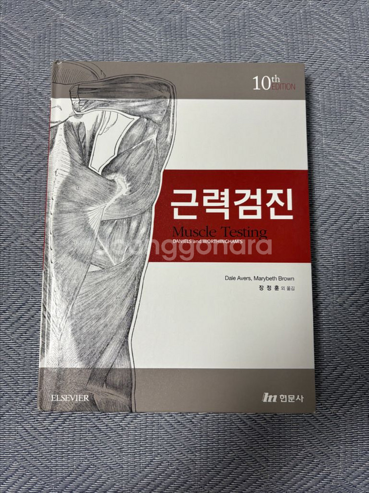근력검진 10판 현문사--0