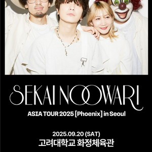 세카이노오와리 SEKAI NO OWARI 내한공연콘서트