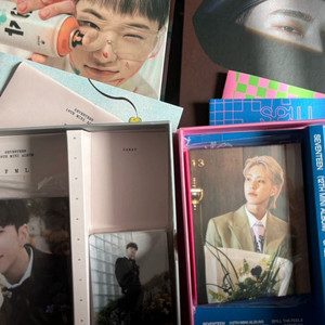 세븐틴 호시 캐럿반