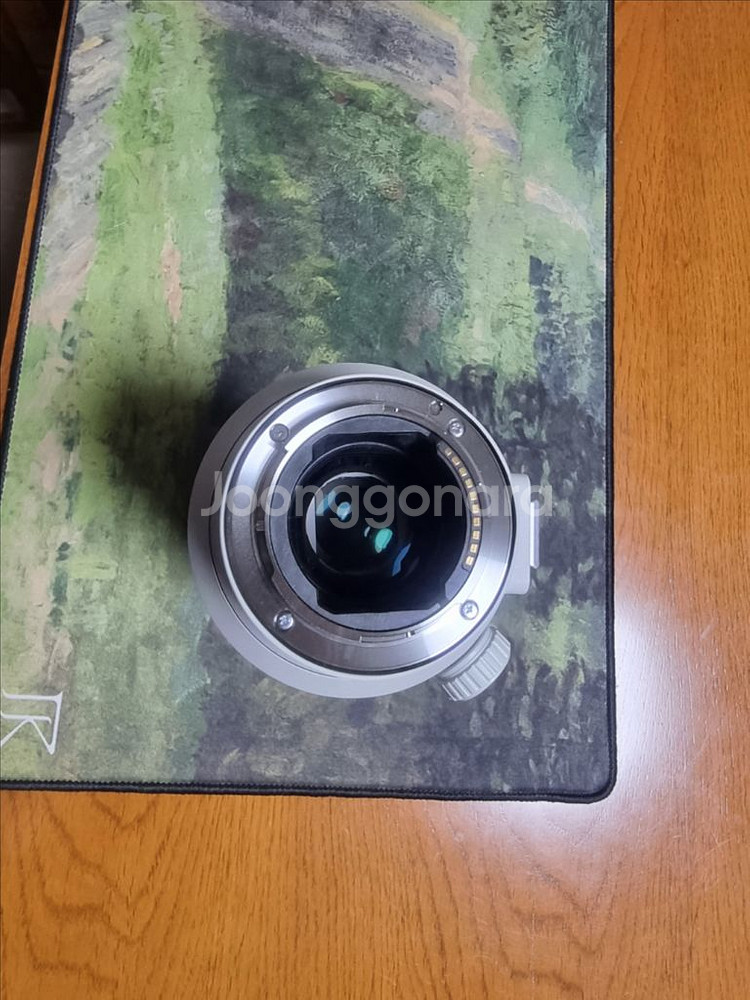 소니 70200gm2 (금령2)--6
