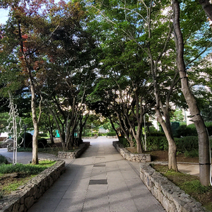 비발디 홍천 조식구해요~