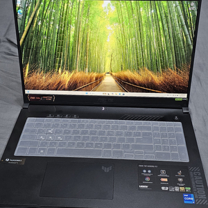 F17 FX707ZV4-HX016 4060 노트북