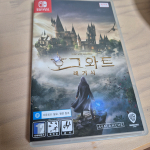 호그와트 레거시 스위치