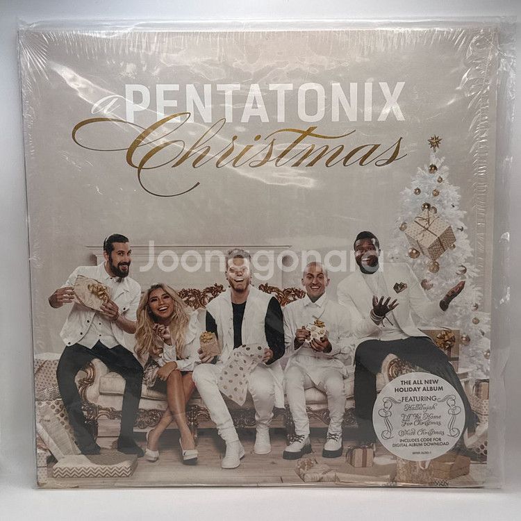 펜타토닉스 Pentatonix Christmas LP--0