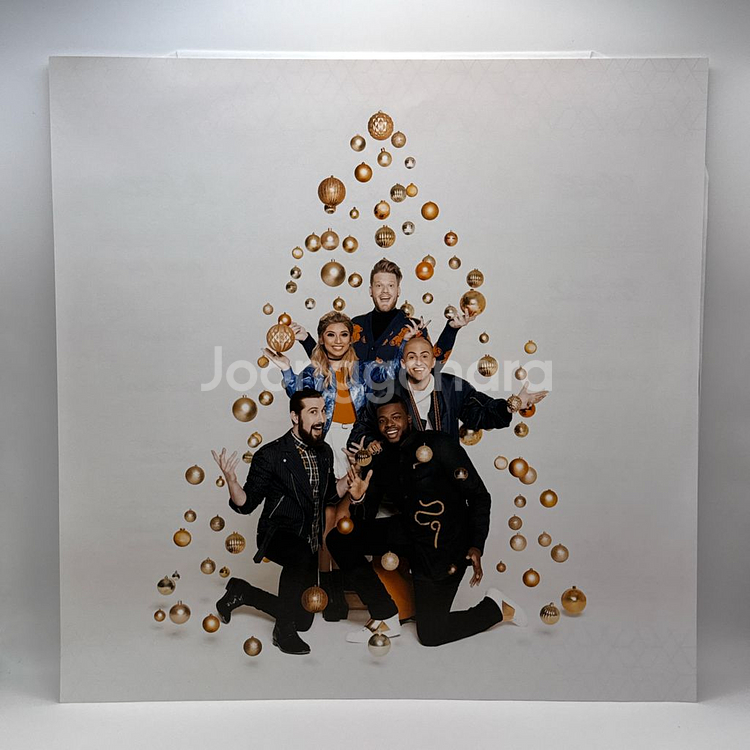 펜타토닉스 Pentatonix Christmas LP--3