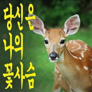 후부키세트