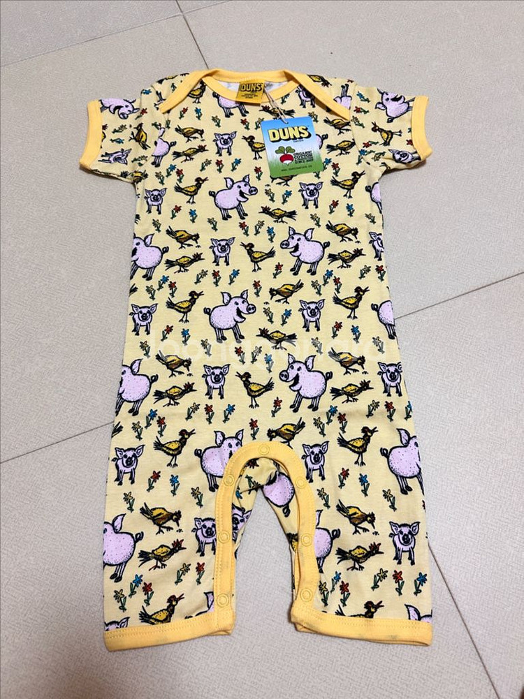 던스 노란돼지 썸머수트 92--0