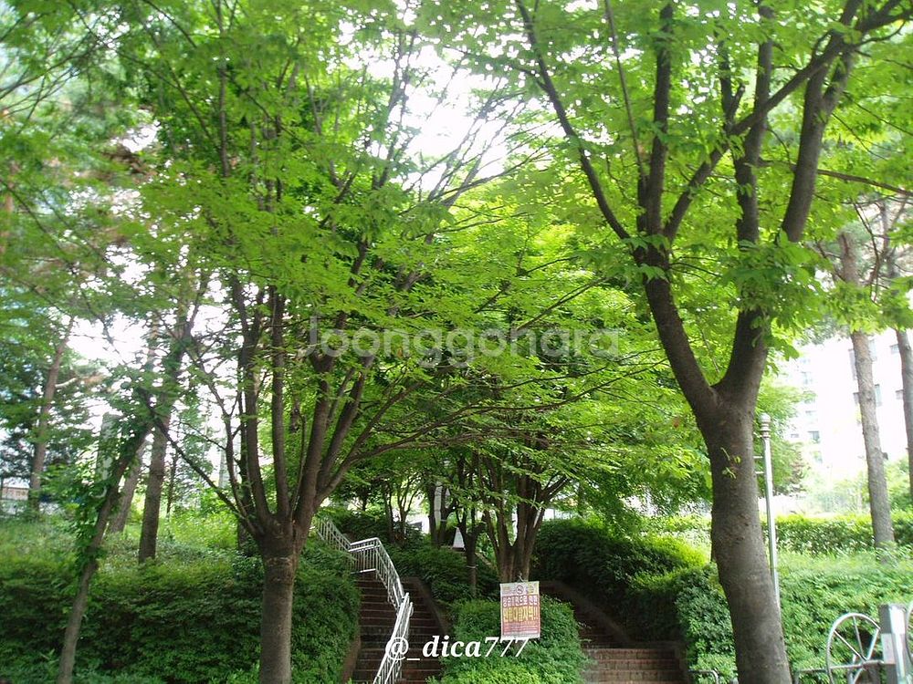 올림푸스 뮤 400 디지털 카메라--5