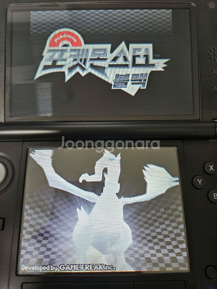 포켓몬스터 블랙 알칩--2