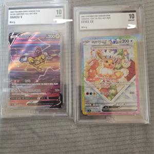 포켓몬 카드 라이코 v 이브이 EX 10등급 카드 일괄