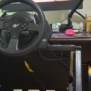 Thrustmaster t300rs gt