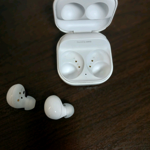 갤럭시 버즈2(Samsung Galaxy Buds2)