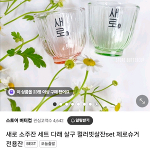 [미개봉] 새로 소주잔 세트 (새로/살구) **택포**