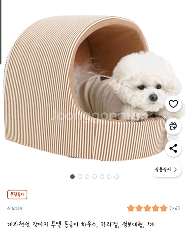 강아지 집 (점보대형) **택포**--0