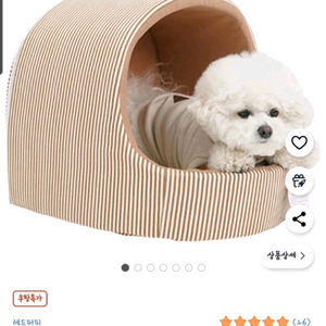 강아지 집 (점보대형) **택포**