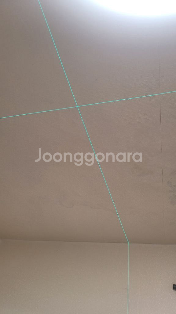 디월트 레이저 레벨기 16라인 3D 4D 셀프--8