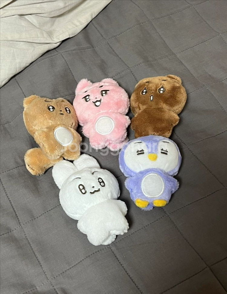 뽀바투 인형 판매합니다! / 투바투 인형--0