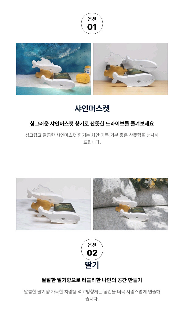 고래와 돼지의 향기--6